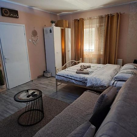 Apartman Iva Zaječar Exteriör bild
